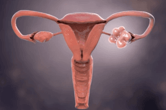女性如何保养卵巢？这五点很重要